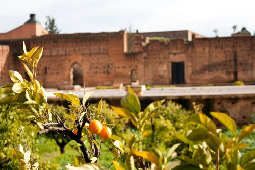 A ruined Moroccan palace A ruined Moroccan palace 500x333 Marrakesh: Morocco photo gallery
