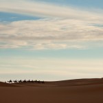 Lonely sahara desert camel train