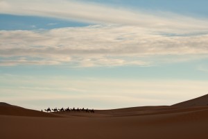 Lonely sahara desert camel train