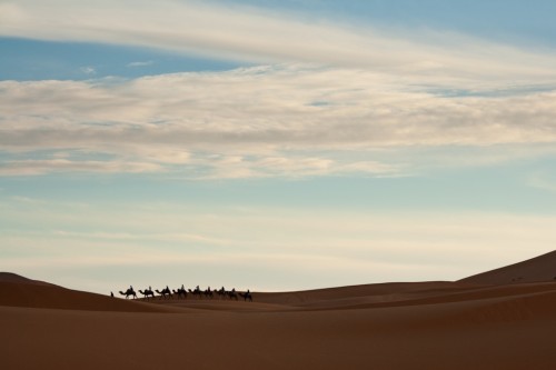 Lonely sahara desert camel train Lonely sahara desert camel train 500x333 Morocco: Images from the Sahara