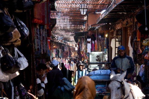 Marrakesh souq market 500x333 Marrakesh: Morocco photo gallery