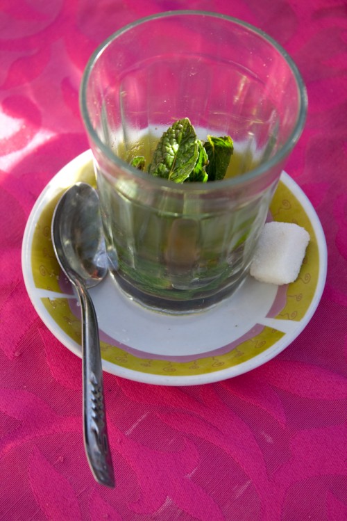 Moroccan mint tea Moroccan mint tea 500x749 Marrakesh: Morocco photo gallery