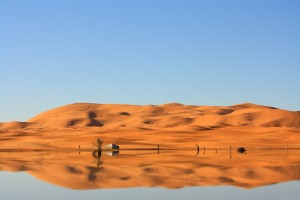 new oasis reflection
