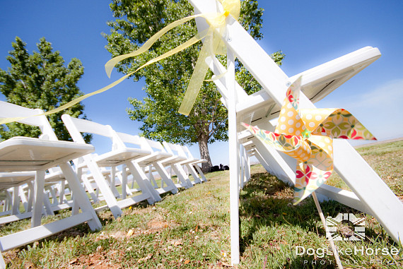 Wedding Photography Pinwheels
